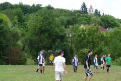 Falunap-2010.-004