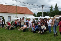 Falunap-2010.-011
