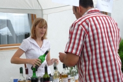 Falunap-2010.-031