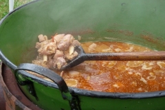 Falunap-2010.-034