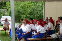 Falunap-2010.-037