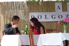 Falunap-2010.-046