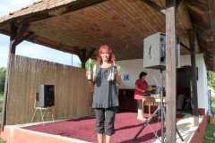 Falunap-2010.-081