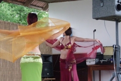 Falunap-2010.-087