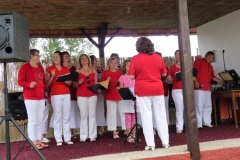 Falunap-2010.-095
