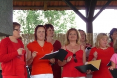 Falunap-2010.-096