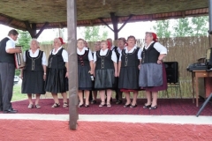 Falunap-2010.-103