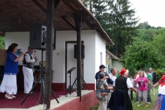 Falunap-2010.-106