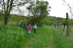 FaluszÚpÝt§k-a-forrßsnßl-2010.-011