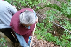 FaluszÚpÝt§k-a-forrßsnßl-2010.-013