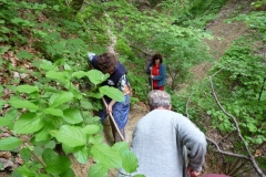 FaluszÚpÝt§k-a-forrßsnßl-2010.-014