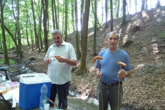 KolbßszsŘtÚs-a-forrßsnßl-2010-014