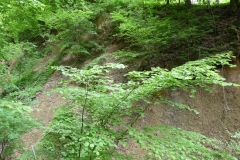 K§szikla-szurdok-003