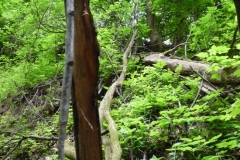 K§szikla-szurdok-012