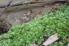 K§szikla-szurdok-016