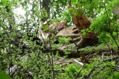 K§szikla-szurdok-018