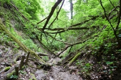 K§szikla-szurdok-019