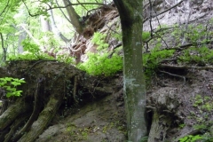 K§szikla-szurdok-028