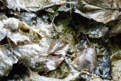 K§szikla-szurdok-034 K§szikla-szurdok-034