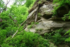 K§szikla-szurdok-038 K§szikla-szurdok-038