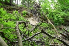 K§szikla-szurdok-040