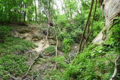 K§szikla-szurdok-048