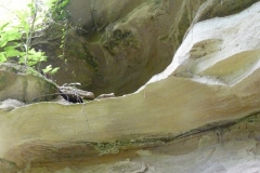 K§szikla-szurdok-049