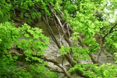 K§szikla-szurdok-052