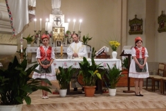 Falunap-2011-002