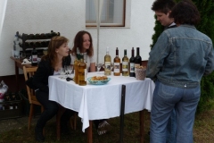 Falunap-2011-006