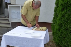 Falunap-2011-007