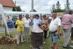 Falunap-2011-017