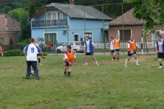 Falunap-2011-026