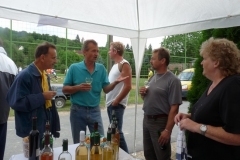 Falunap-2011-030