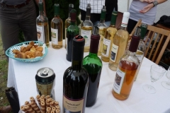 Falunap-2011-031