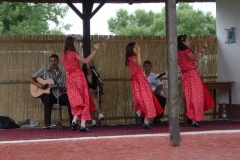 Falunap-2011-037