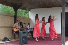 Falunap-2011-040