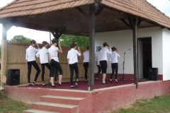 Falunap-2011-048