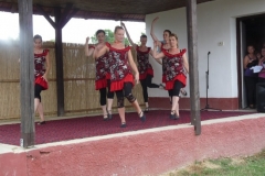 Falunap-2011-061
