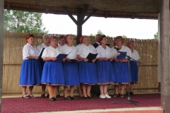 Falunap-2011-064