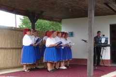 Falunap-2011-065