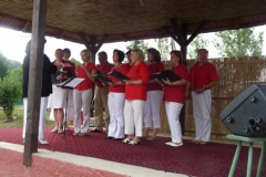 Falunap-2011-070