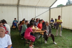 Falunap-2011-074 Falunap-2011-074