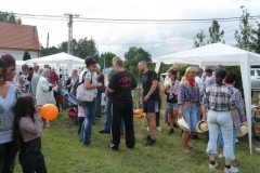 Falunap-2011-075 Falunap-2011-075