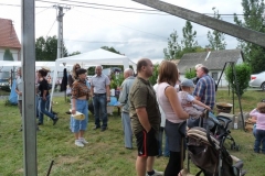 Falunap-2011-076