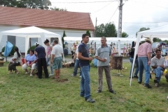 Falunap-2011-078