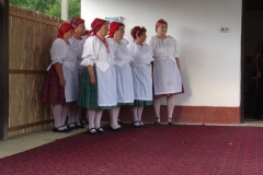 Falunap-2011-098