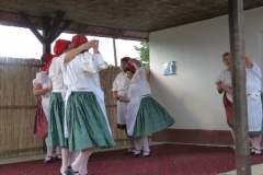 Falunap-2011-100