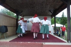 Falunap-2011-102