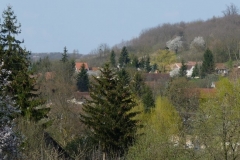Nagybakˇnaki-tßjkÚpek-037